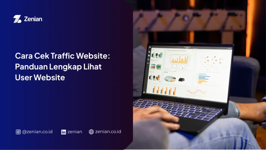 Cara-Cek-Traffic-Website